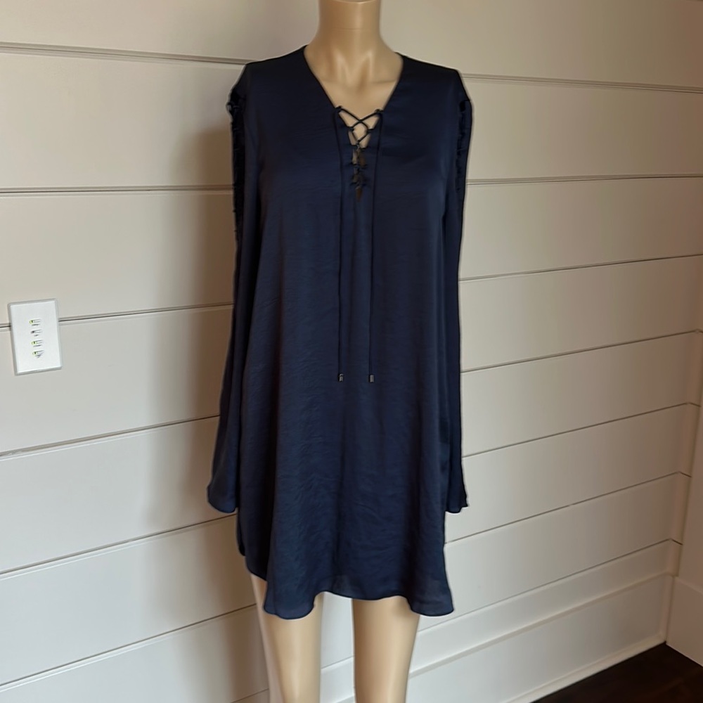 Haute Hippie Navy silk dress